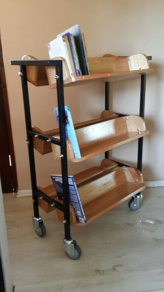 Privacy screens for library reading