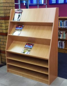 Volunteer reading to library children
