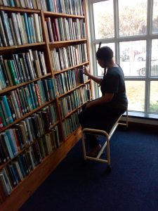 Step stool for library shelves access